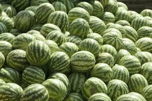 临沧网红吃瓜事件真相是真的吗,真相揭秘,还原事件始末 第3张 临沧网红吃瓜事件真相是真的吗,真相揭秘,还原事件始末 第3张