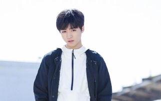 圈内人爆料凯源,揭秘凯源组合背后的神秘故事 第2张 圈内人爆料凯源,揭秘凯源组合背后的神秘故事 第2张